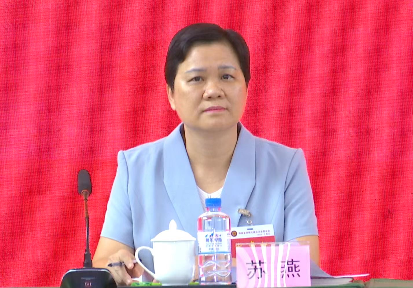 《海南华侨》栏目丨海南省侨联七届五次全委会议在海口召开 苏燕当选主席